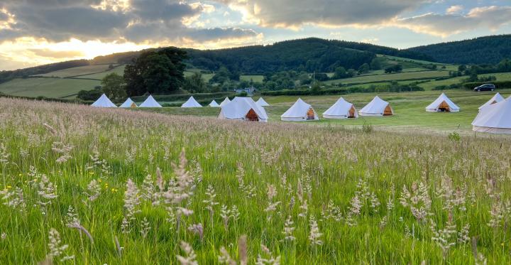 Meadow of Tents